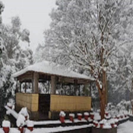 Chevron Rosemount Otel Ranikhet Dış mekan fotoğraf